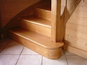 INTERIEUR ESCALIER  (18)